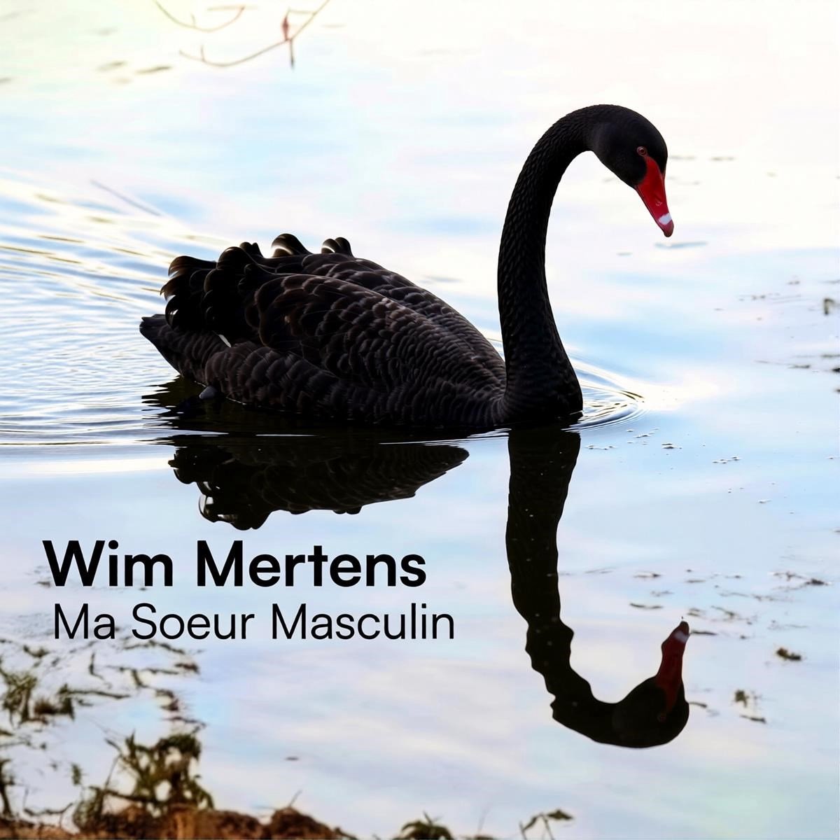 Wim Mertens - Ma Soeur Masculin (CD)