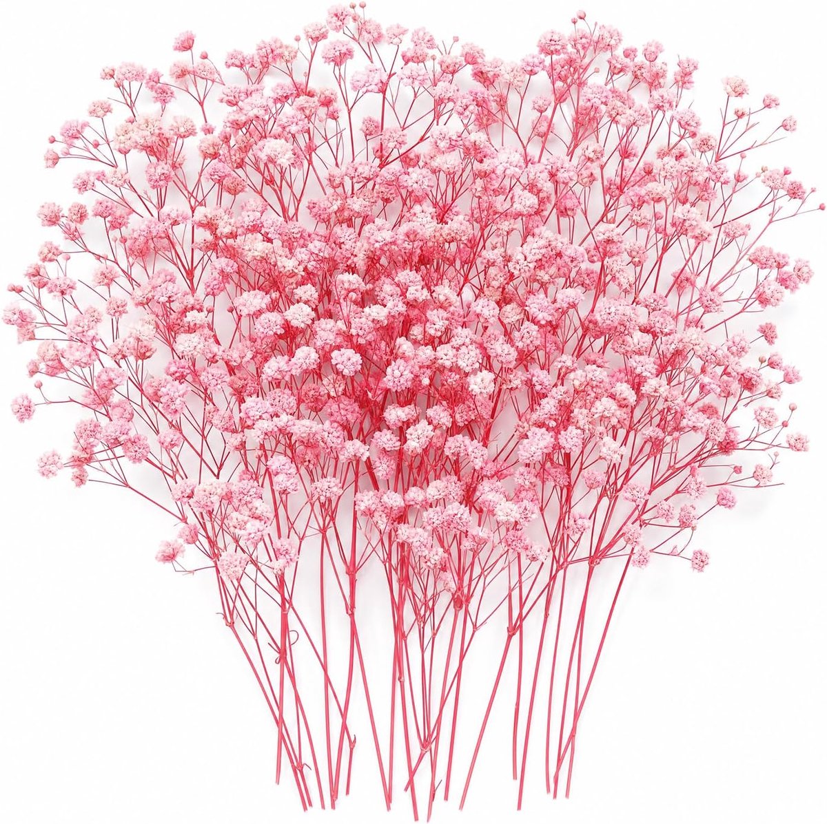 Gedroogde Bloemen, Natuurlijke Gypsophila Mini Geperste Bloemen voor Knutselen, Hars Kunst, DIY, Bruiloft, Kaarten, Taarten, Huisdecoratie (Roze)