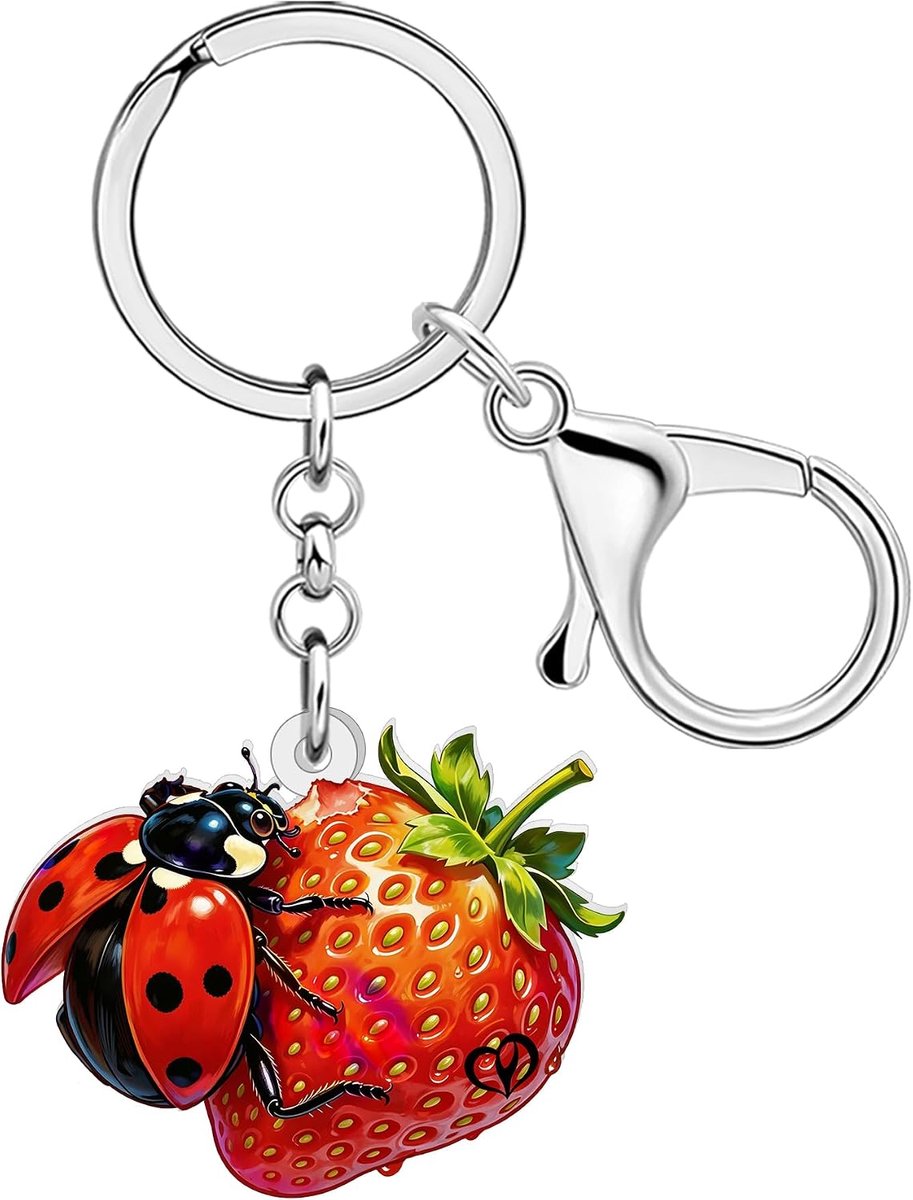 Lieveheersbeestje Ladybug geschenken voor dames