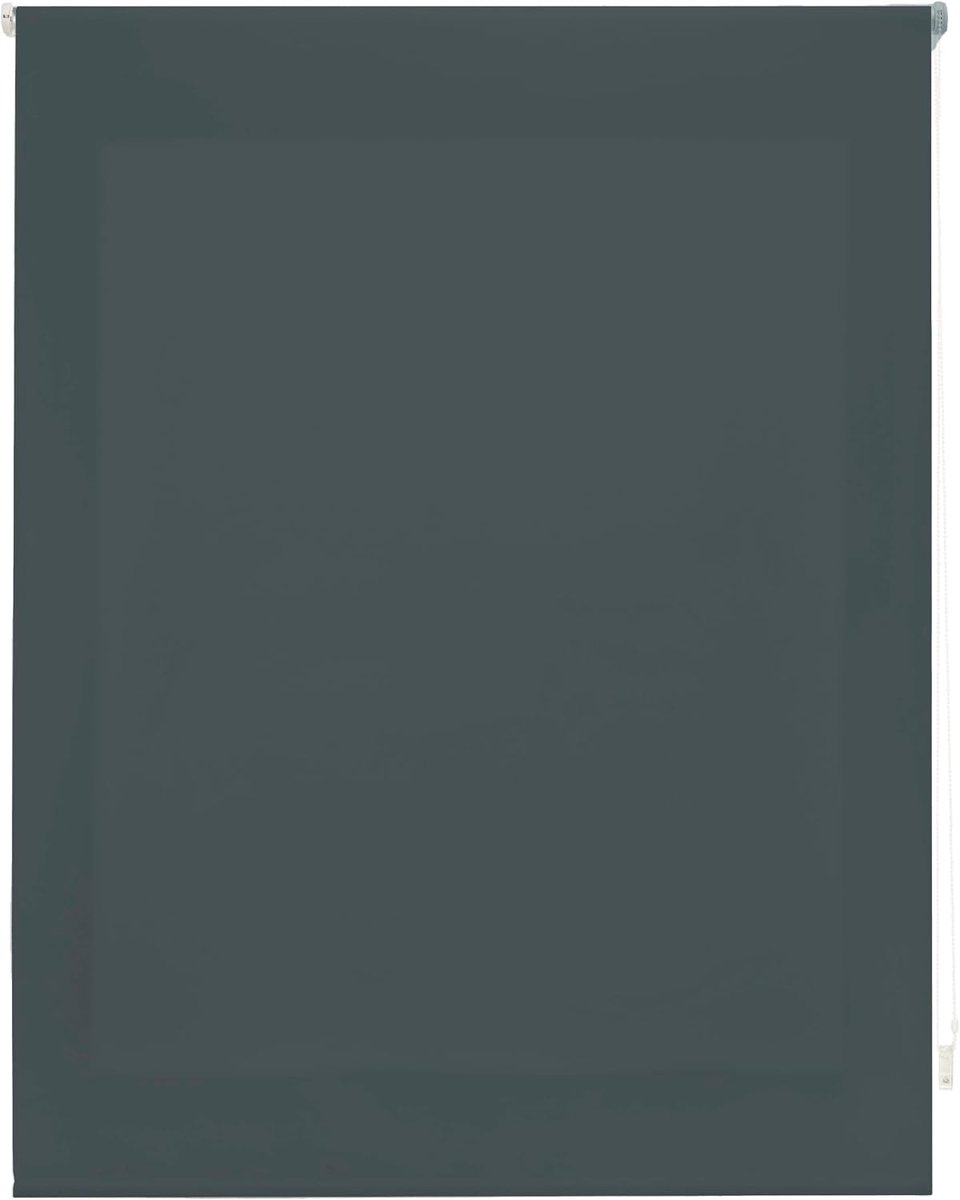 Rolgordijn, lichtdoorlatend, glad, 80 x 175 cm (breedte x hoogte), stofmaat 77 x 170 cm, lichtdoorlatend, pastelgrijs, premium raamrolgordijn