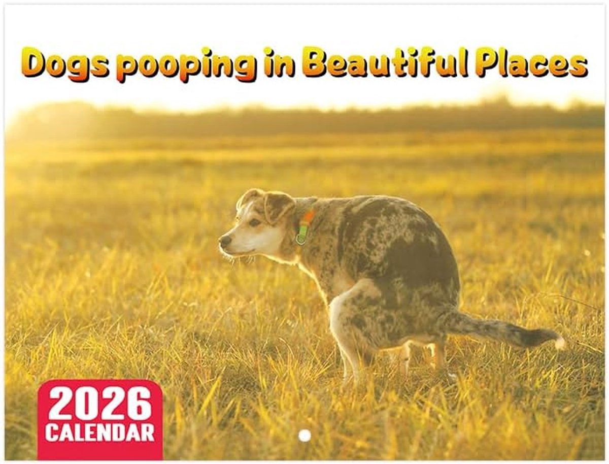Hondenkalender 2026, grappige hondenkalender 2026 Dogs Pooping in Beautiful Places, Pooping Dogs kalender 2026 dieren, hondenkalender 2026 (geel)
