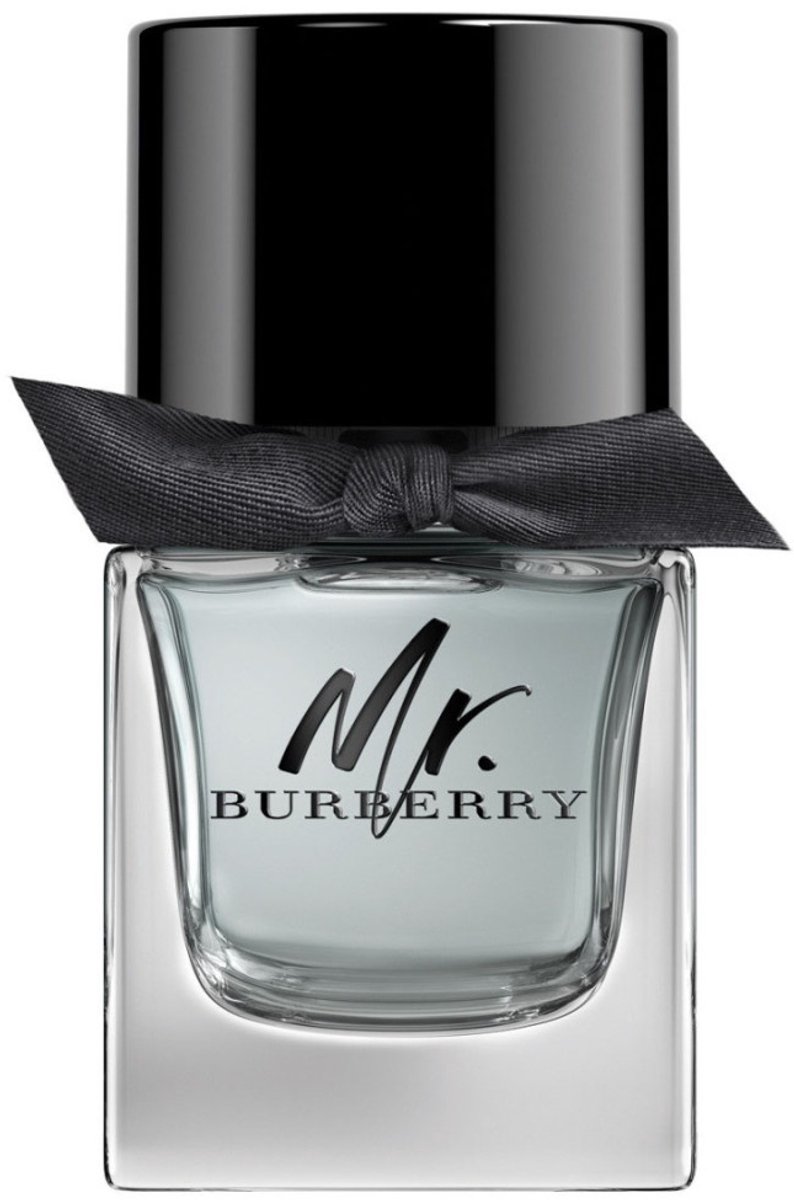 Bol.com Burberry Mr. Burberry Eau de Toilette 50ml aanbieding