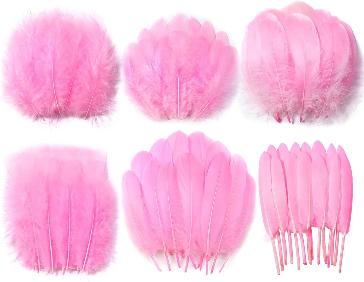 Roze ambachtelijke veren bulk - 240 stuks 6 stijlen gemengde natuurlijke veren voor bruiloft thuisfeest, dromenvanger benodigdheden en doe-het-zelf ambachten (roze)