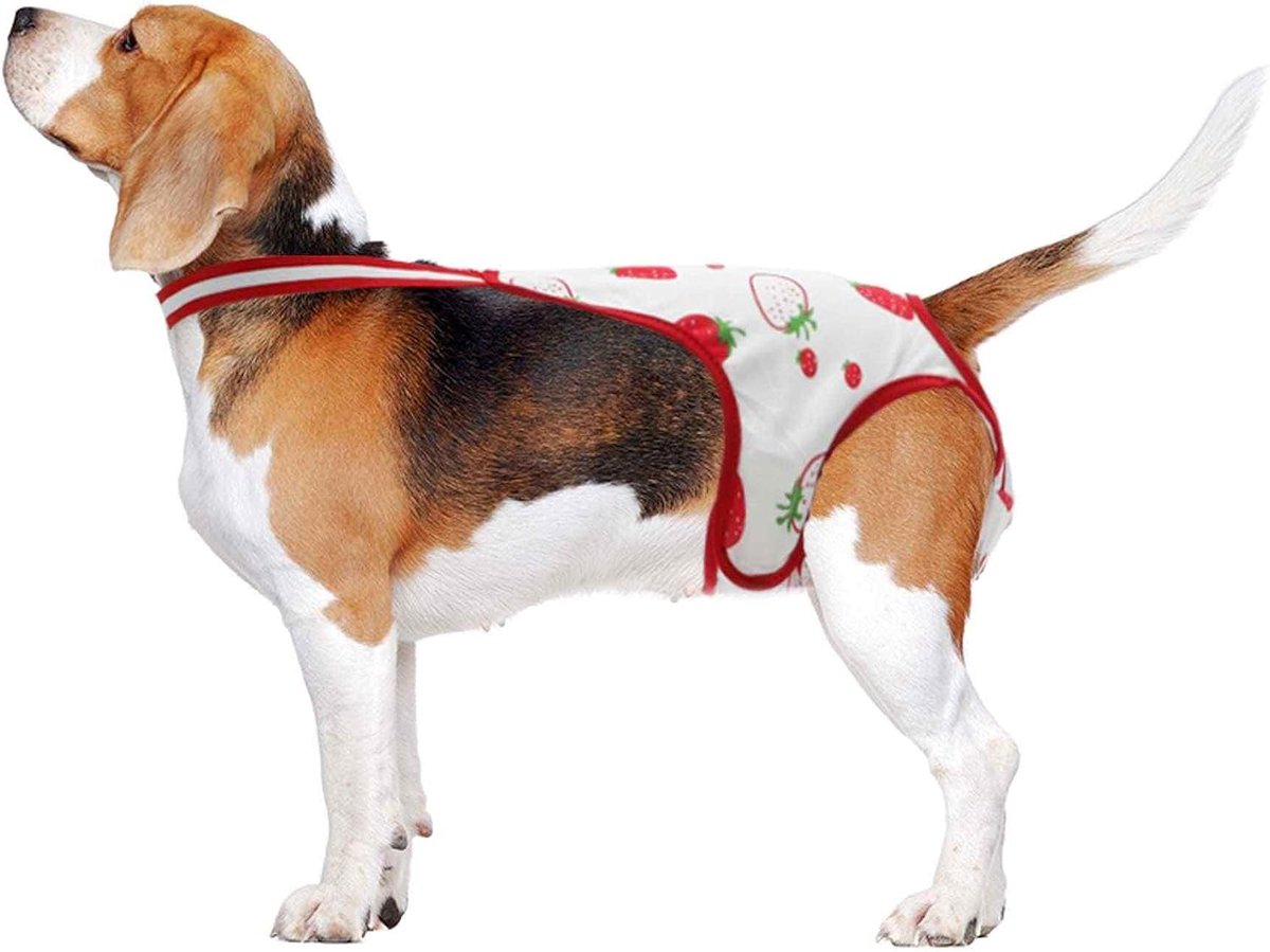Luiers voor vrouwelijke honden, puppy's, fysiologische slipjes, wasbaar, herbruikbaar, met verstelbare bretels, rood/wit, M