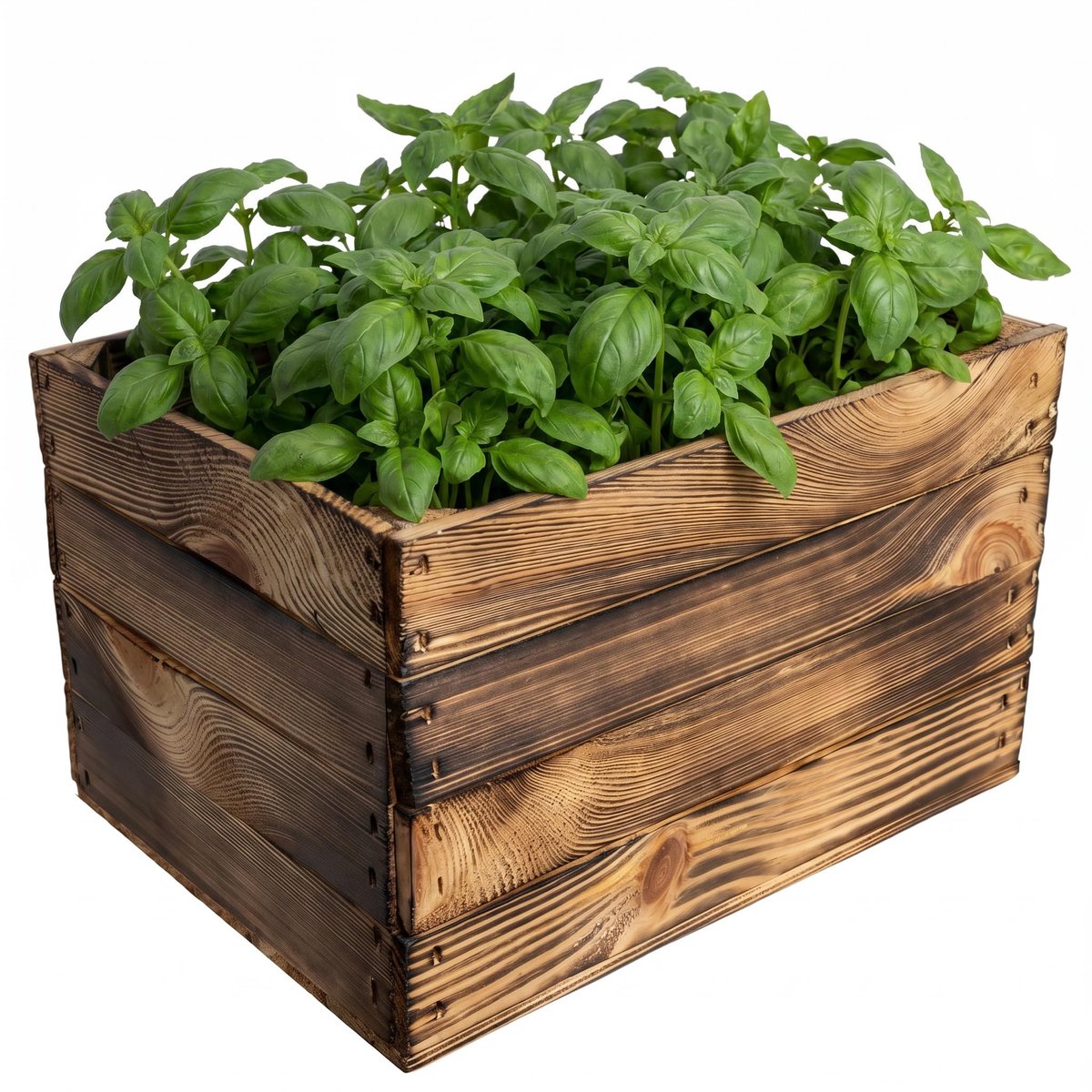 Creative Deco houten kist zonder sleuven, Gevlamd 40 x 30 x 23 cm (+-1 cm), Fruitkist, decoratieve wijnkist, appelkist, Als houten kist, geschenkdoos, speelgoedkist, opbergkist, paasdecoratie