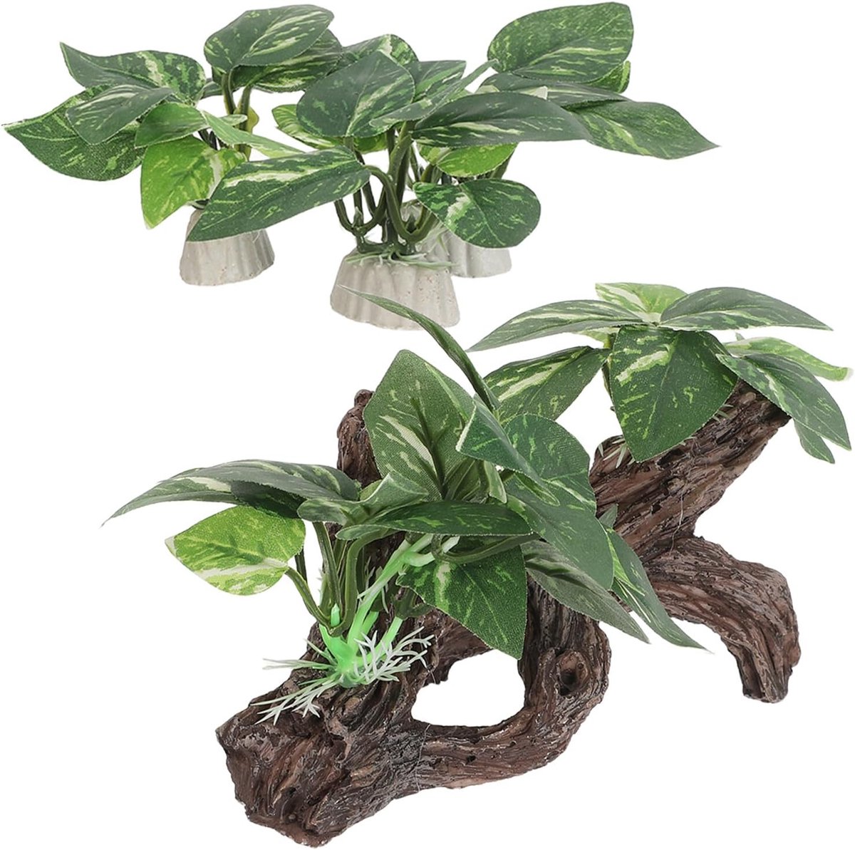 4 Stuks Delige Aquarium Driftwood Grotten Natuurlijke Visverblijf Decoratie voor Betta Garnalen Universele Aquascaping Ornamenten met Bladeren voor Kleine Tanks