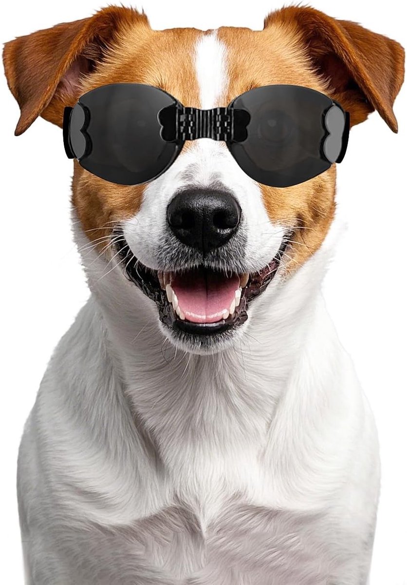 Vouwbare Zonnebril voor Honden, Waterdicht en Winddicht, Motorbril voor Middelgrote en Grote Honden, Zwart, Bescherming tegen UV-stralen en Schokken