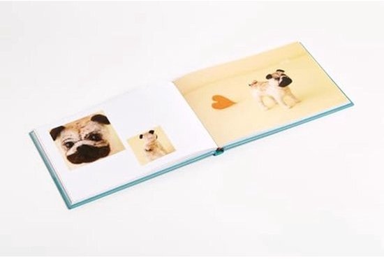 Schattige Vilt Honden: Eenvoudige Projecten voor het Maken van Adorable Vilt Puppies — afbeelding 2