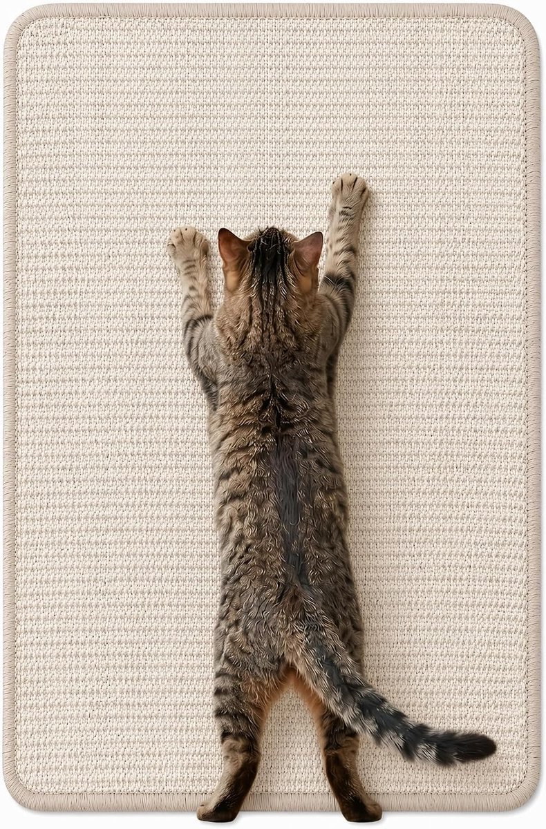 Krabmat kat van natuurlijk sisal, wit, 60 x 40 cm