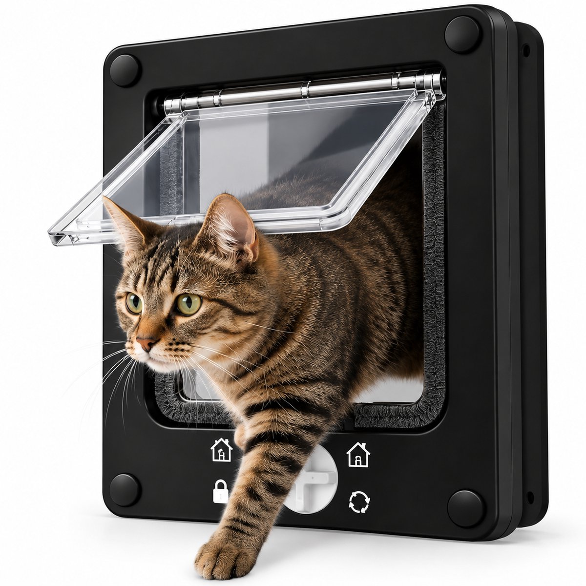 DIVERZA Kattenluik – Transparant met 4 Standen Sluitsysteem – Zachte Borstelrand & Complete Montageset – 26,5x23,5 cm – Zwart
