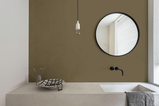 Badkamer met wastafel en spiegel. Muur geschilderd in de kleur Earthly Calm.