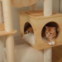 Oranje gestreepte kat ligt in een houten huisje met ronde opening, met zachte beige kussens.