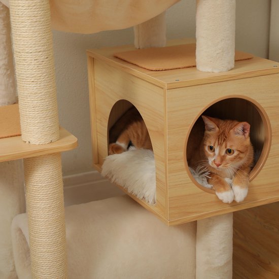Oranje gestreepte kat ligt in een houten huisje met ronde opening, met zachte beige kussens.