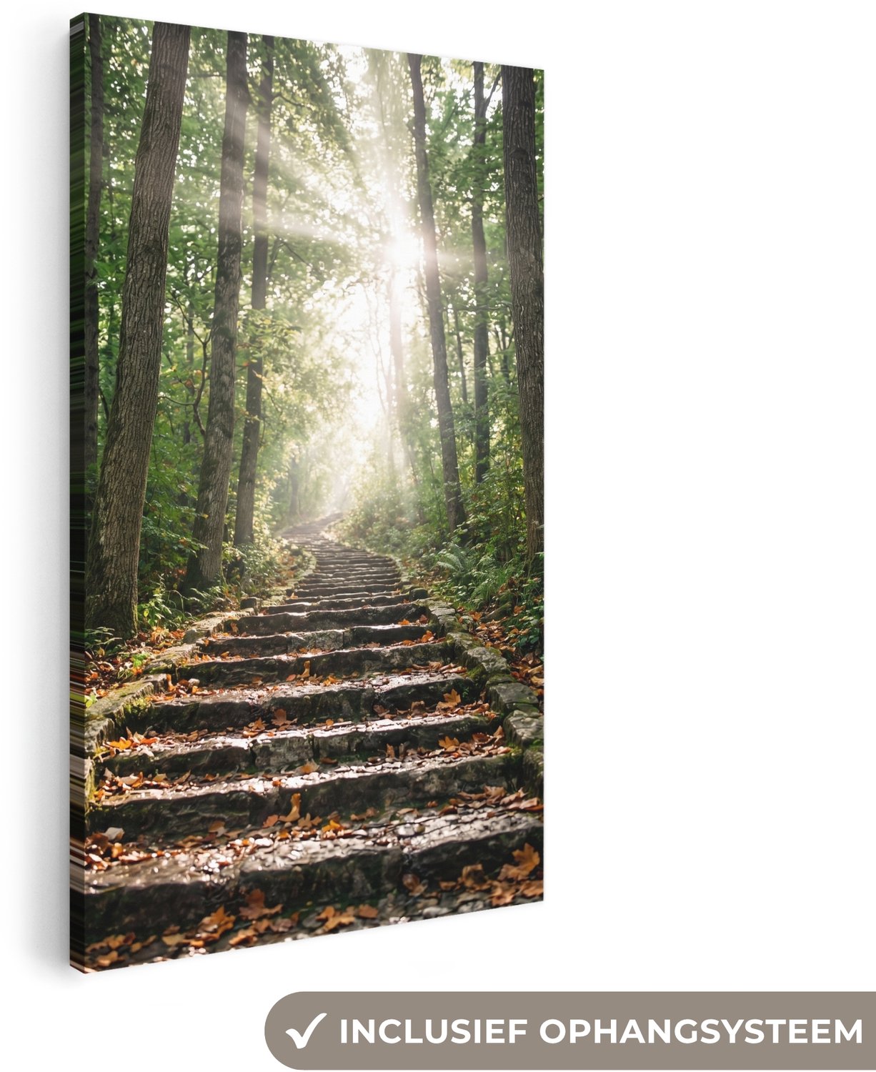 Canvas schilderij 40x80 cm - Exclusieve wanddecoratie Stenen - Trap - Bos - Natuur - Muurdecoratie woonkamer - Slaapkamer decoratie - Kamer accessoires - Schilderijen op canvas