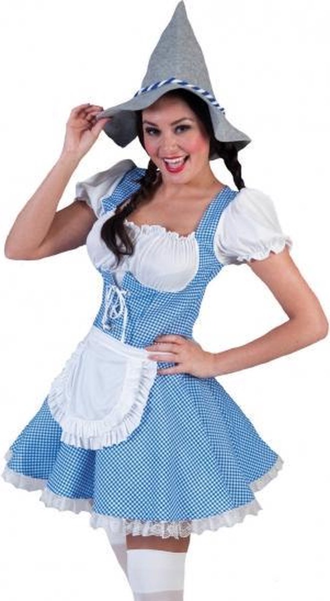Oktoberfest - Blauw geblokte Oktoberfest jurk / dirndl voor dames - tiroler  jurkje... | bol