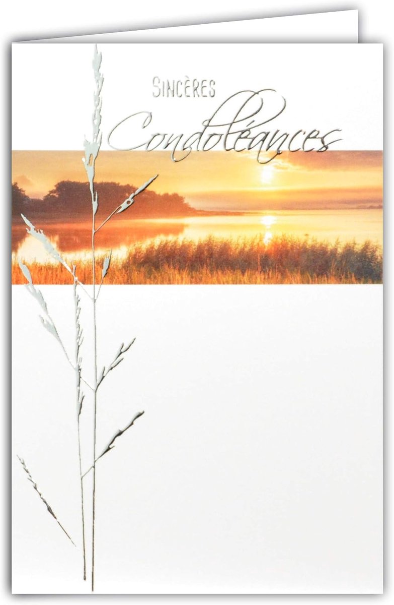 Condoles, grijs/zilver, glanzend, discreet demontagelandschap, rustig, zonsondergang, water, gras, gemaakt in Frankrijk