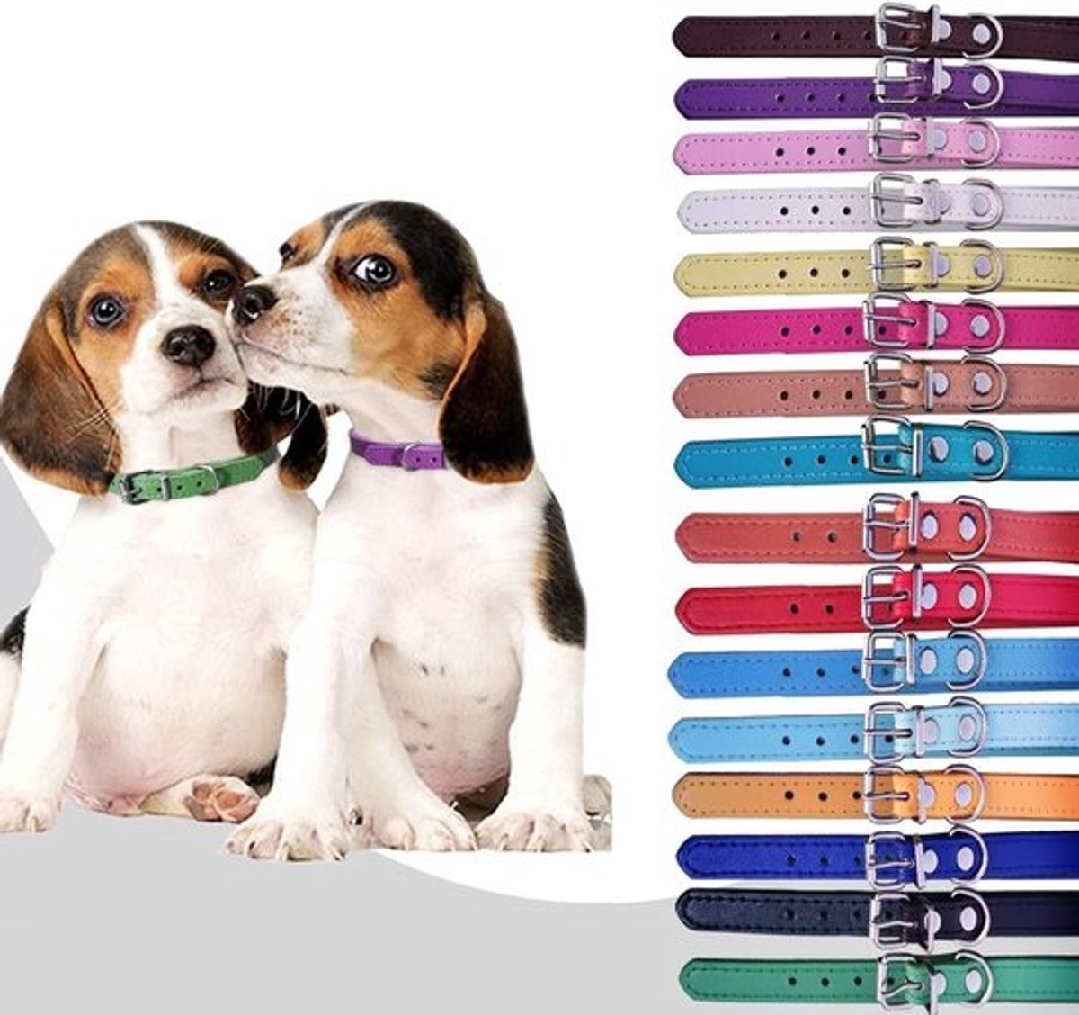 Set van 12 of 16 verstelbare leren ID-halsbanden voor puppy's en honden - 15,2 tot 45,7 cm