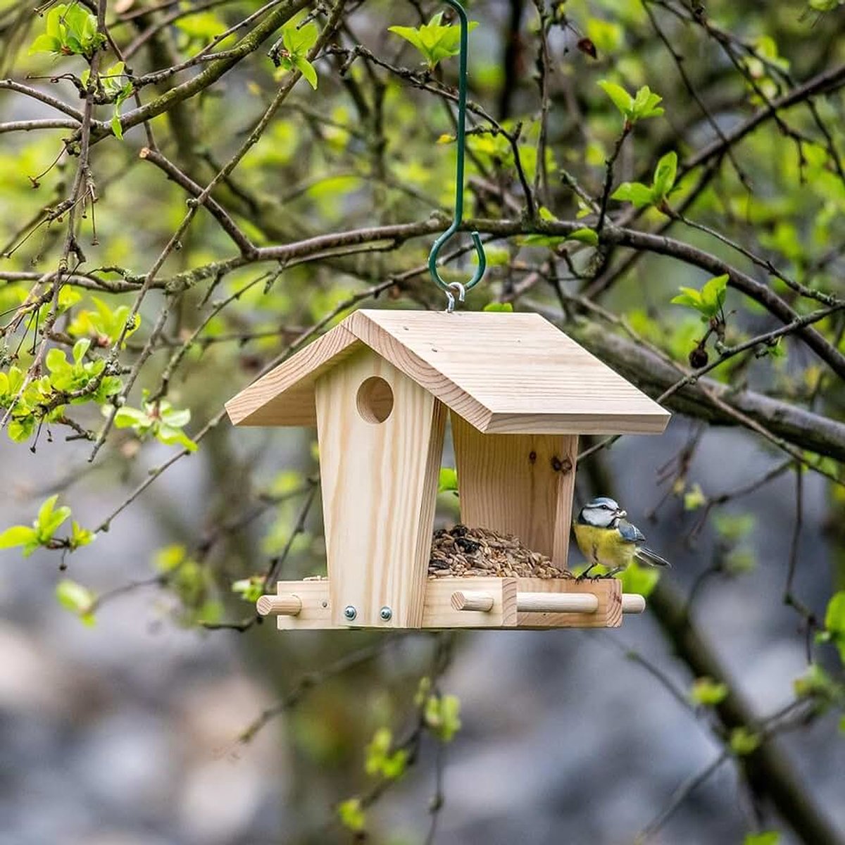 Wildlife Bouwpakket Vogelvoederhuisje voor Kleine Vogels & Tuinvogels – Voederhuisje – Houten Bouwpakket met Duidelijke Instructies – Inclusief Ophanghaak en Bevestigingsmateriaal