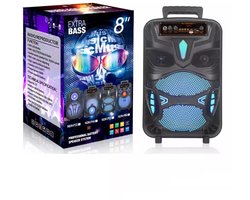 Party Speaker met Bluetooth 5.0 - Draadloze Karaoke Speaker 8 Inch - Bluetooth Luidspreker met Microfoon, RGB Verlichting en TWS Functie