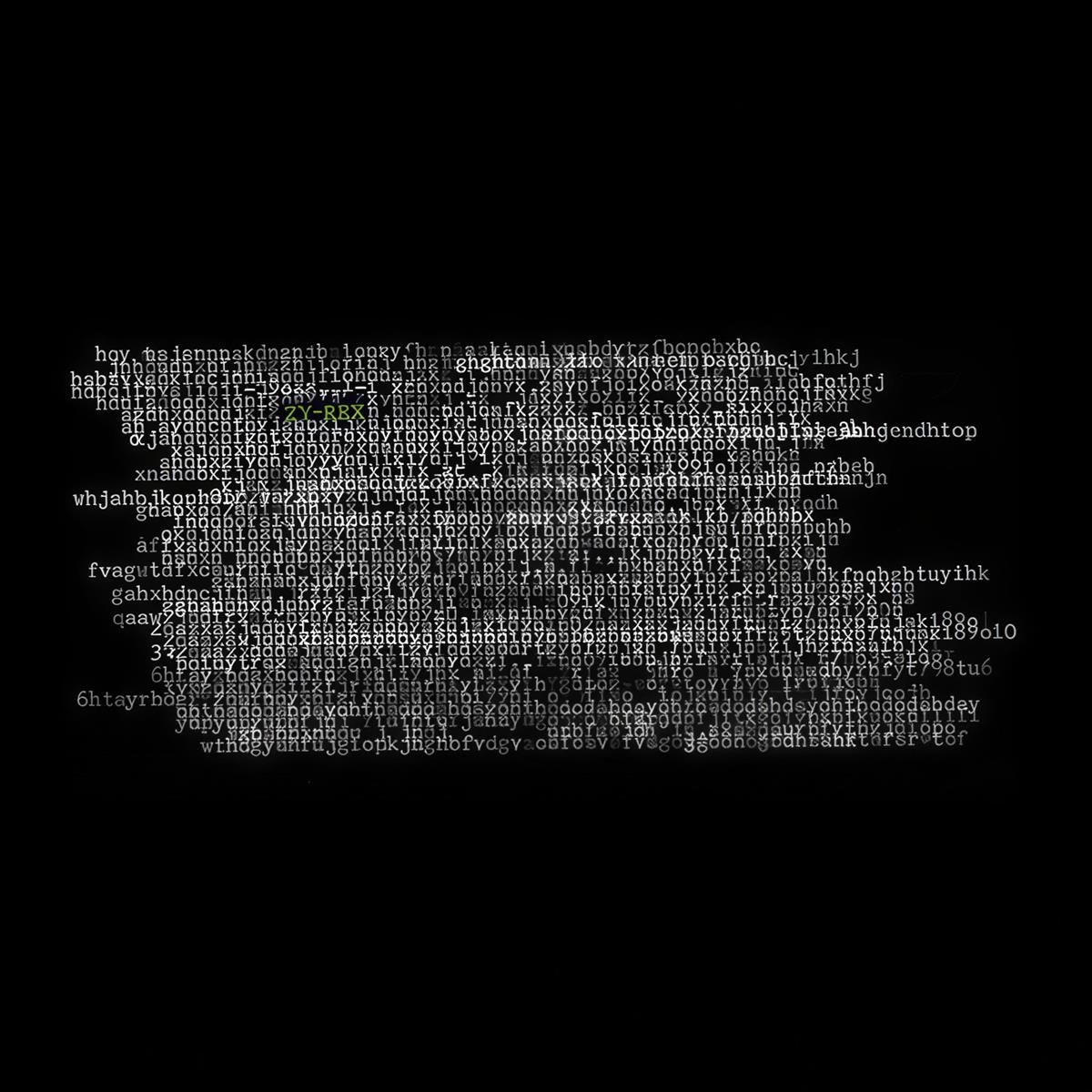 Ty Segall - Ty-Rex (CD)