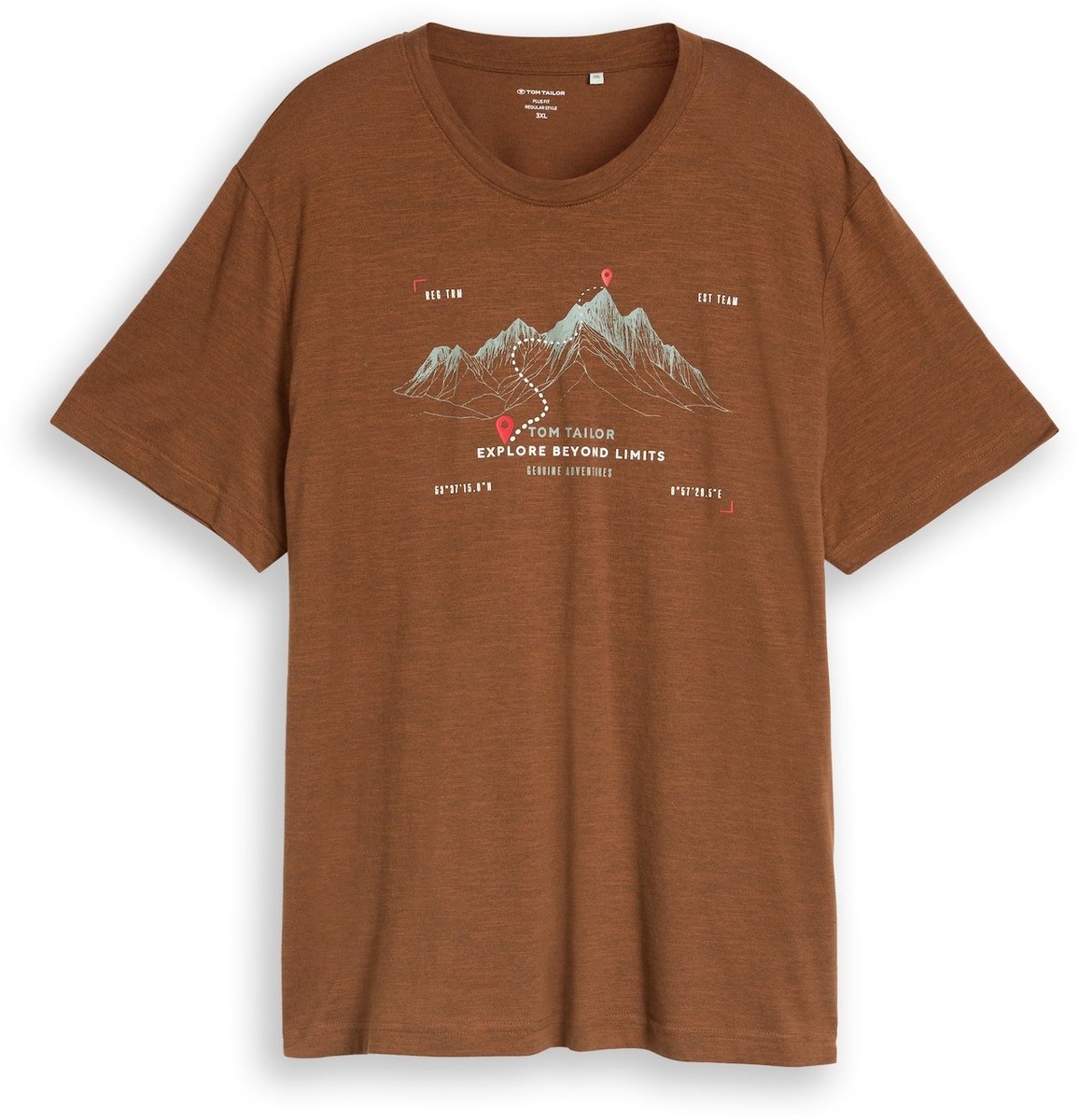 Tom Tailor - Plus Size - T-shirt met print - Maat 3XL - brown olive injected stripe