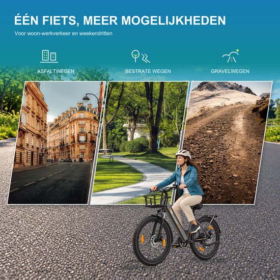 Runetic 26” Elektrische Fiets - Motor 250W - Actieradius 100km - 36V 13AH Verwijderbare Batterij - 25KM/H - Grijs — afbeelding 5