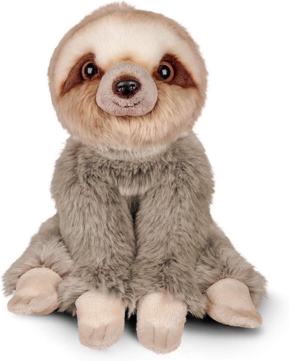 Pluche luiaard, knuffeldier in realistisch design, knuffelzacht, ca. 23 cm groot