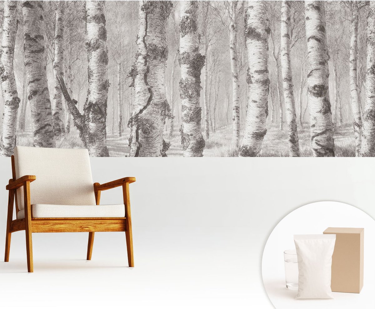 Wallfluent Fotobehang - Grijs Vliesbehang - 250x104 cm - Berkenbos Fotobehang Vlies - Hal behang Landschappen - Muurschildering - Woonkamer behang