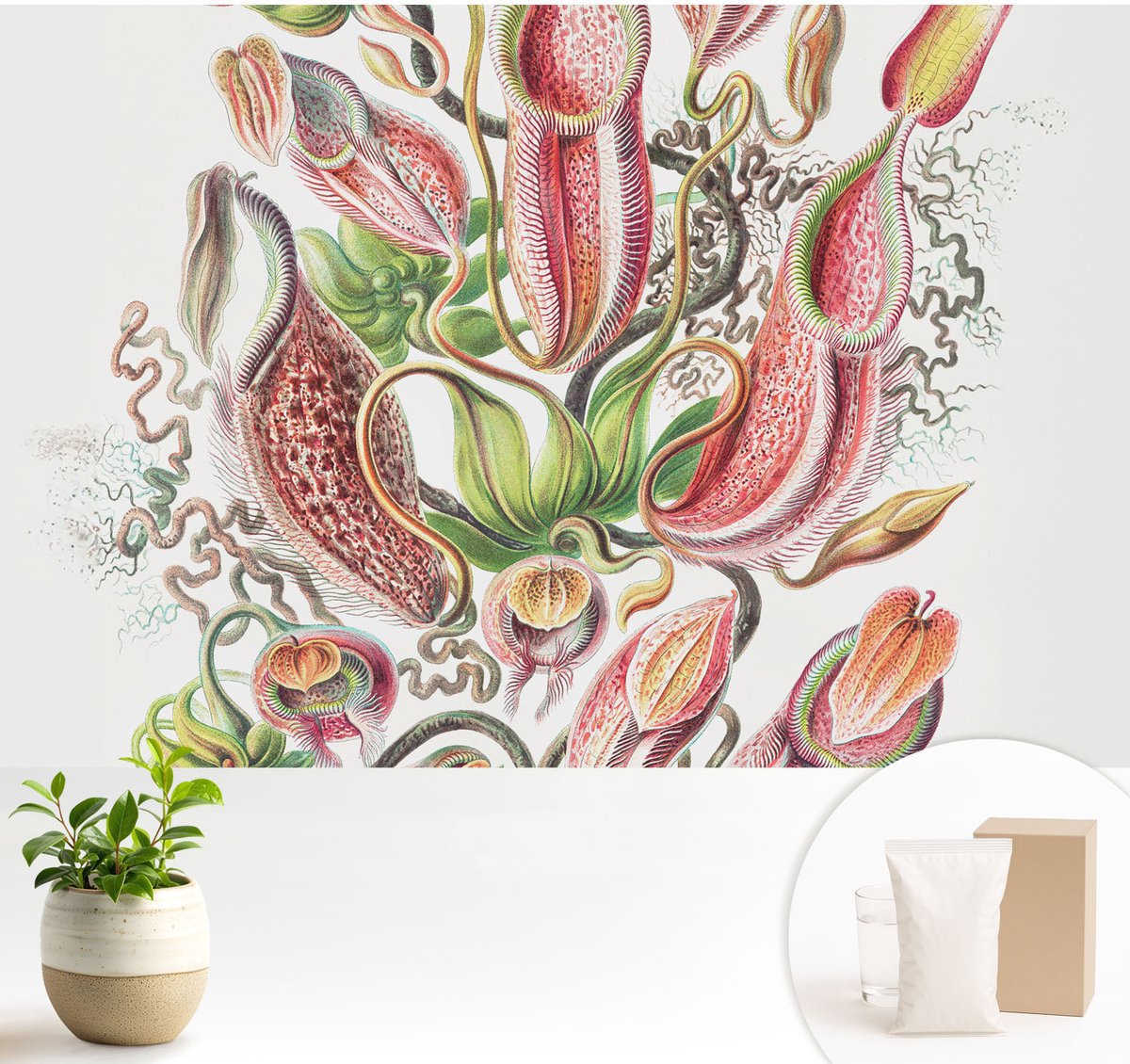 Wallfluent Fotobehang - Groente Vliesbehang - 104x70 cm - Plantdetails Muurschildering - Slaapkamer behang Bloemen En Planten - Fotobehang Vlies - Slaapkamer behang