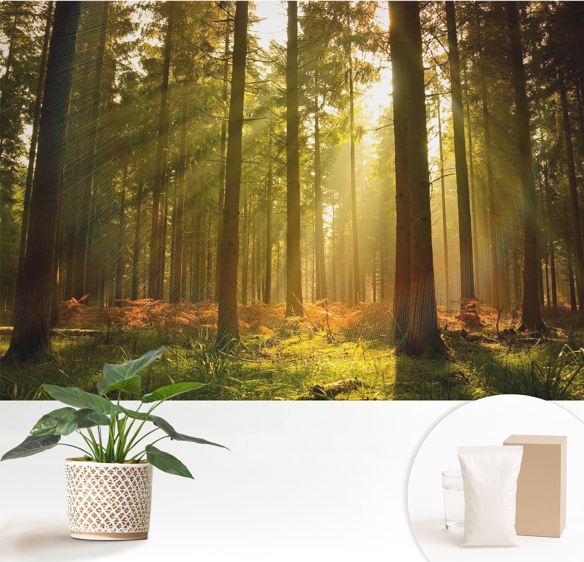 Wallfluent Fotobehang - Groente Vliesbehang - 152x104 cm - Bosochtend Fotobehang Vlies - Hal behang Landschappen - Muurschildering - Woonkamer behang