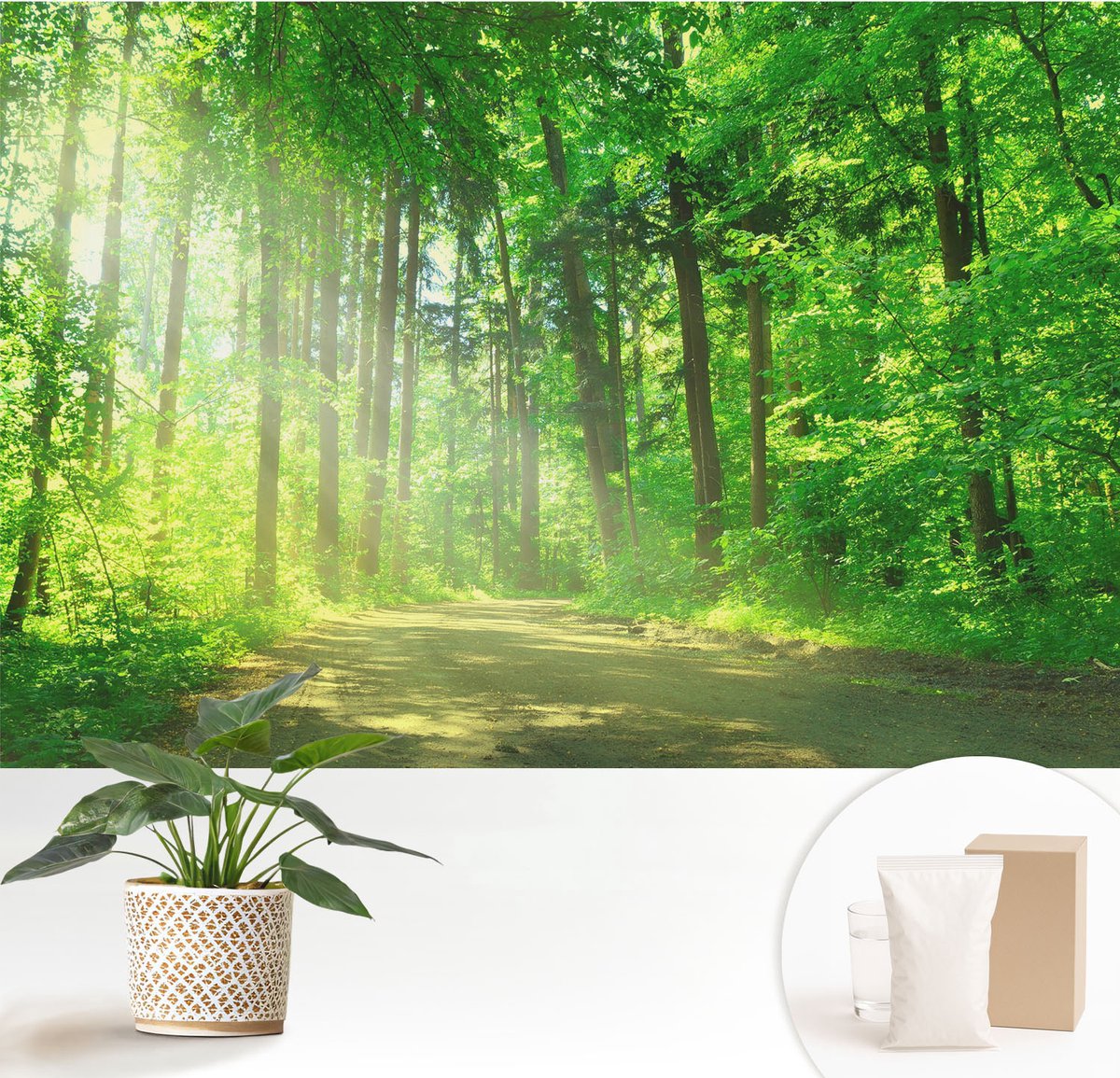 Wallfluent Fotobehang - Groente Vliesbehang - 152x104 cm - Bospad Fotobehang Vlies - Woonkamer behang Landschappen - Muurschildering - Hal behang