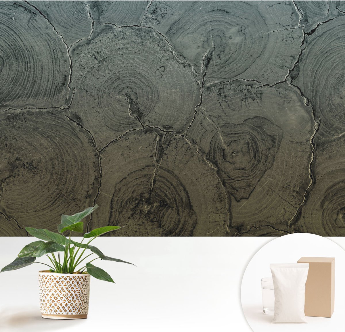 Wallfluent Fotobehang - Grijs Vliesbehang - 152x104 cm - Houten Ringen Muurschildering - Gang behang Texturen - Fotobehang Vlies - Slaapkamer behang