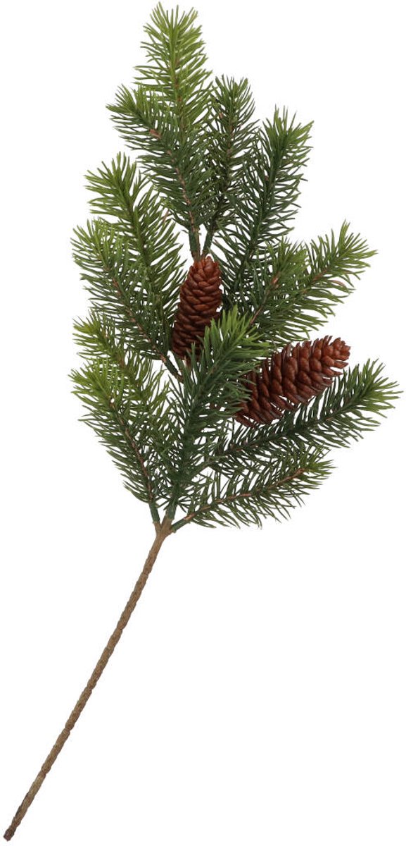 Daan Kromhout - Dennentak - Met Dennenappels - Groen - Kunsttak - 48cm - Kerst