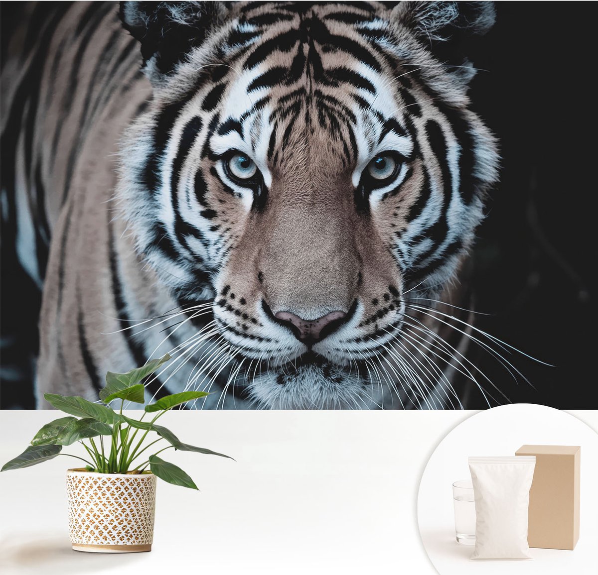 Wallfluent Fotobehang - Zwart Vliesbehang - 152x104 cm - Tijgerportret Fotobehang Vlies - Woonkamer behang Dieren - Muurschildering - Woonkamer behang
