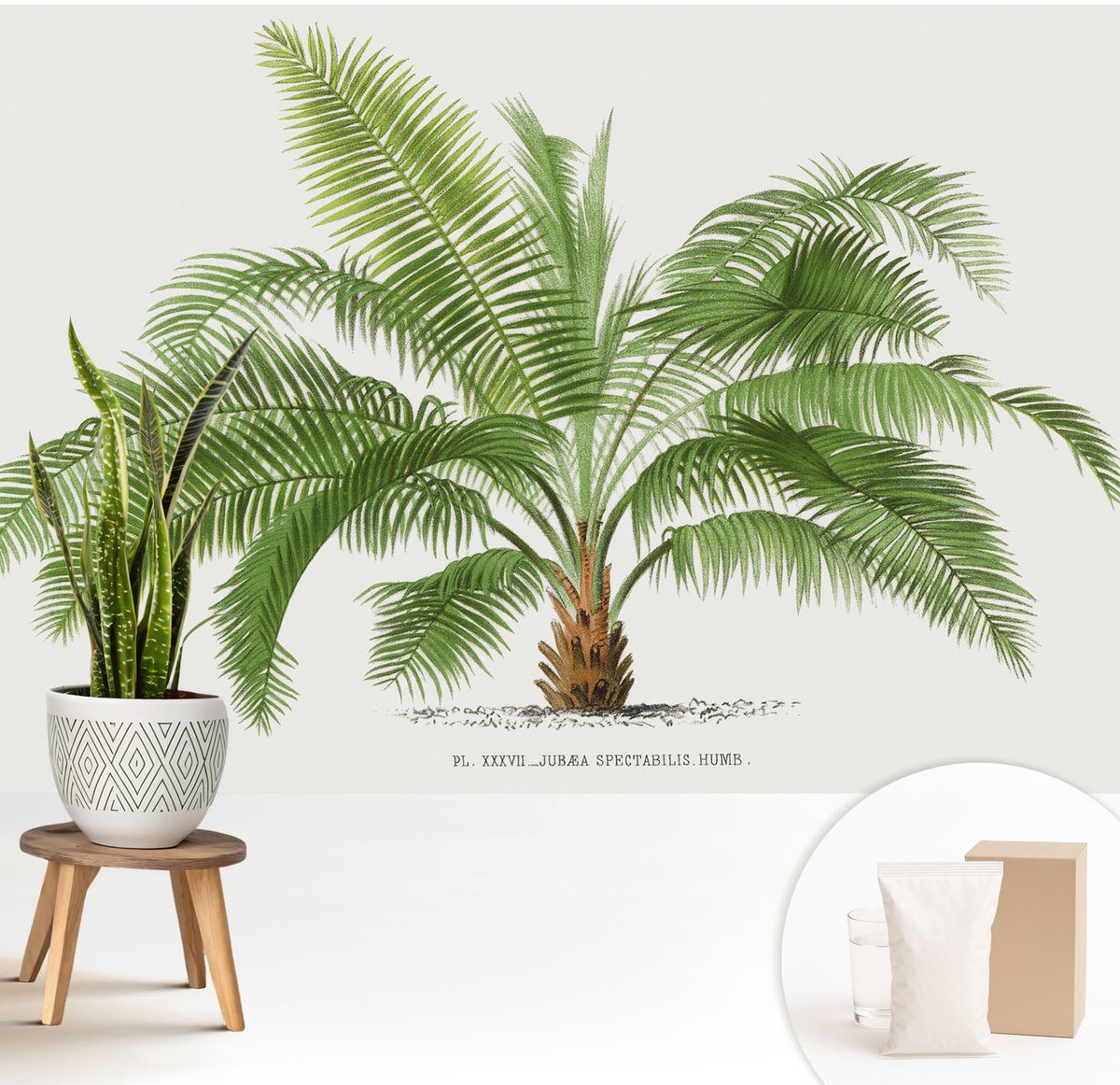 Wallfluent Fotobehang - Groente Vliesbehang - 208x146 cm - Glanzende Palmboom Fotobehang Vlies - Woonkamer behang Bloemen En Planten - Muurschildering - Hal behang