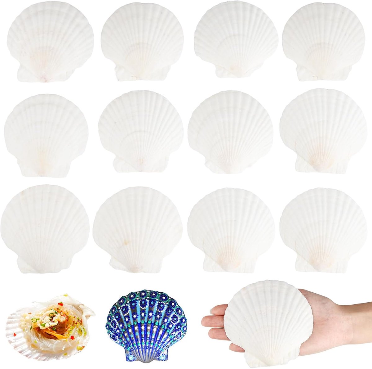 Schalen, 12 sint-jakobsschelpen decoratie, witte schelpen 10-11 cm, keukendecoratie, knutsel- en beha-schelpen, beschilderbaar