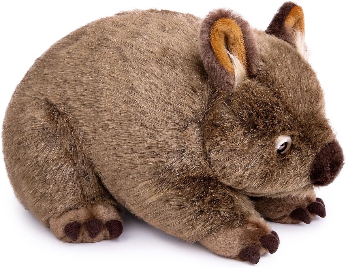 Wombat Pluche Speelgoed 28cm/11, Simulatie Realistische Pop Wilde Dieren, Cadeau voor Vrienden en Kinderen