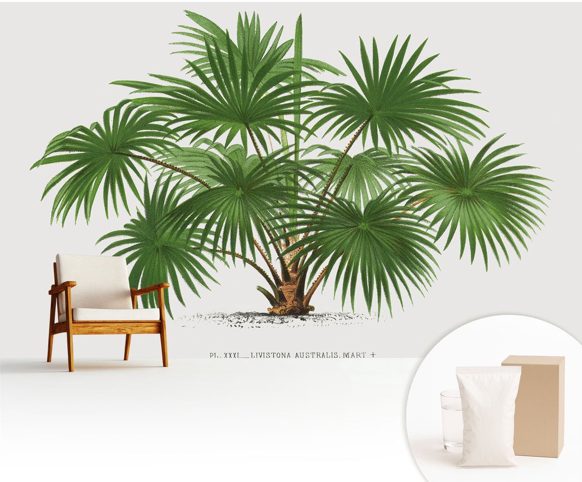 Wallfluent Fotobehang - Groente Vliesbehang - 416x254 cm - Exotisch Patroon Muurschildering - Slaapkamer behang Bloemen En Planten - Fotobehang Vlies - Slaapkamer behang