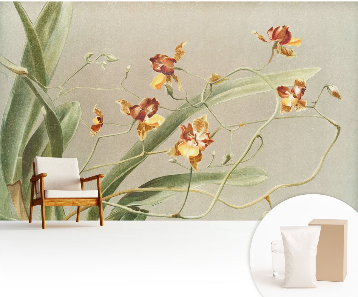 Wallfluent Fotobehang - Grijs Vliesbehang - 416x254 cm - Klassieke Orchideeën Fotobehang Vlies - Hal behang Bloemen En Planten - Muurschildering - Hal behang