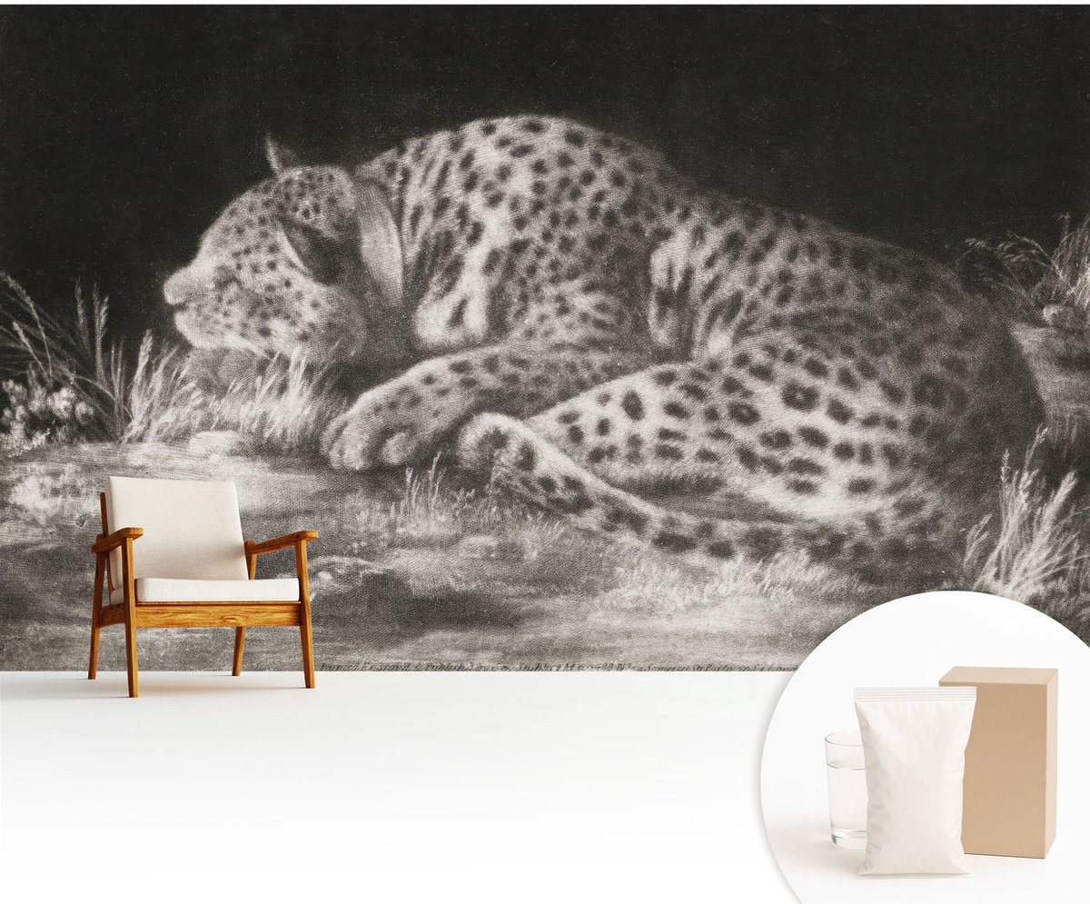 Wallfluent Fotobehang - Zwart-Wit Vliesbehang - 416x254 cm - Luipaard Rustend Muurschildering - Slaapkamer behang Dieren - Fotobehang Vlies - Slaapkamer behang