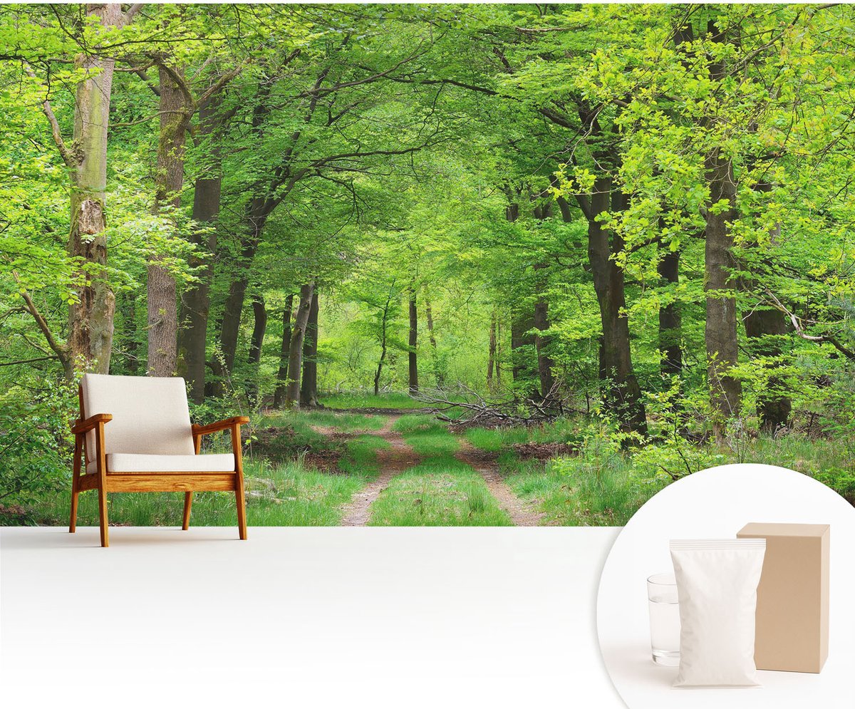 Wallfluent Fotobehang - Groente Vliesbehang - 416x254 cm - Bospad Fotobehang Vlies - Woonkamer behang Landschappen - Muurschildering - Woonkamer behang