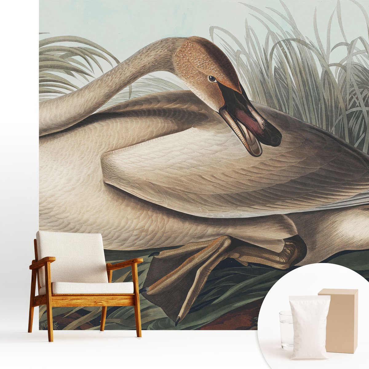 Wallfluent Fotobehang - Bruin Vliesbehang - 250x250 cm - Natuurlijke Vogel Fotobehang Vlies - Woonkamer behang Dieren - Muurschildering - Hal behang