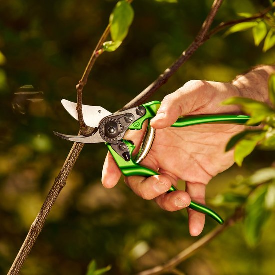 Felco 6 Color Edition Snoeischaar - Voor Middelgrote Handen - Knipt tot Ø 20 mm | Groen — afbeelding 2