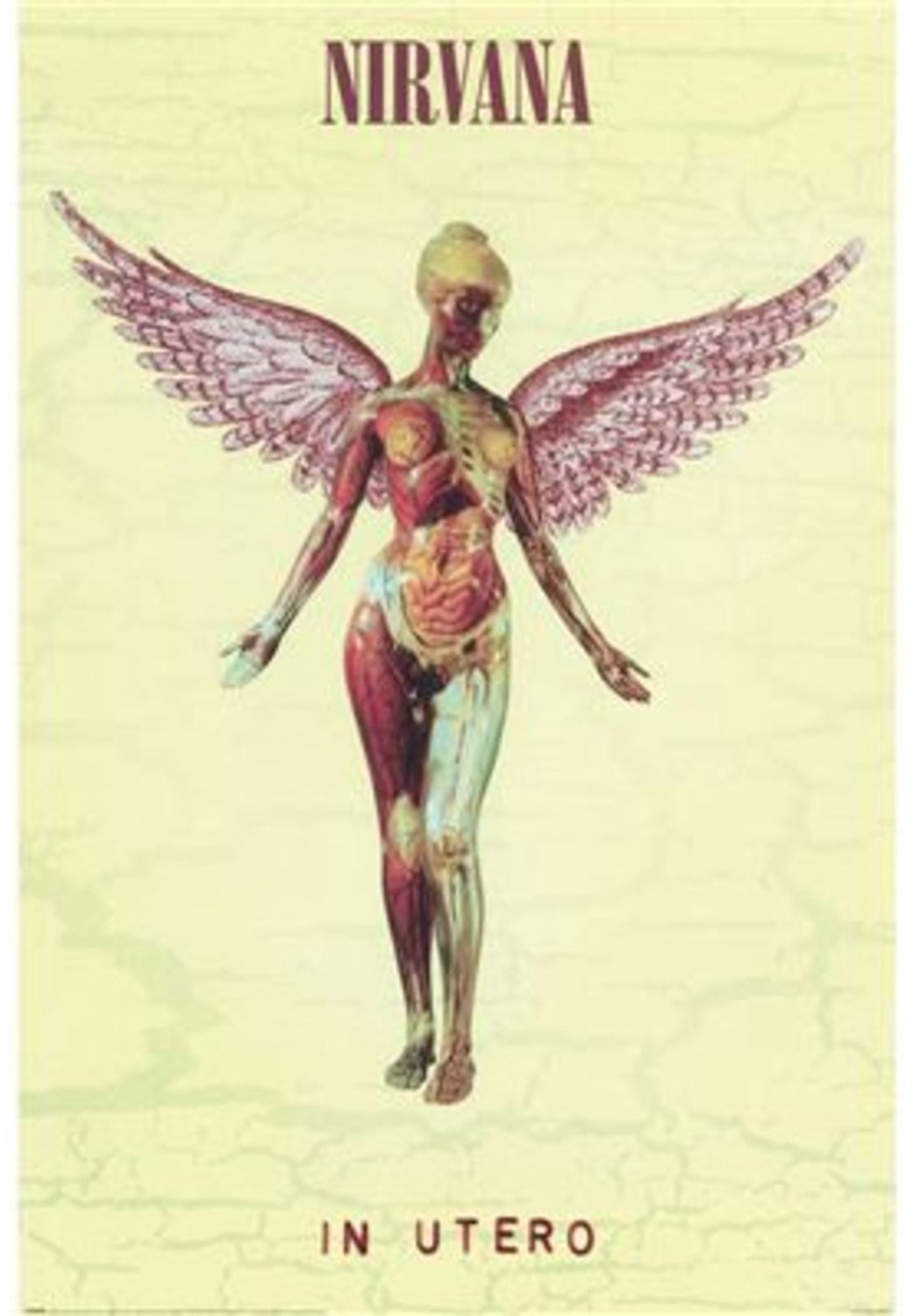 Pyramid Poster Nirvana - In Utero 61x91,5cm Divers