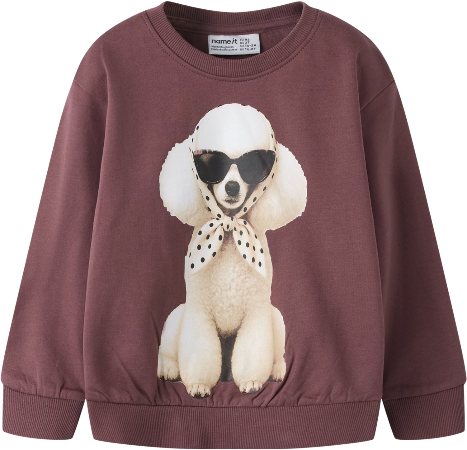 NAME IT - NMFVOTEA LS NREG SWEAT BRU Meisjes Trui