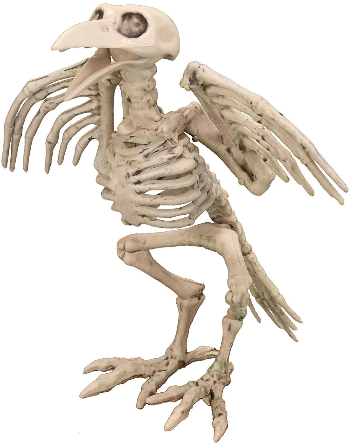 ATOSA - Raaf skeletdecoratie