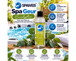 Spa Geur Aroma Eucalyptus 250 ml – Jacuzzi Geur – Hottub Geur – Spa Aroma – Geschikt voor Spa, Jacuzzi & Bubbelbad – Spaweb