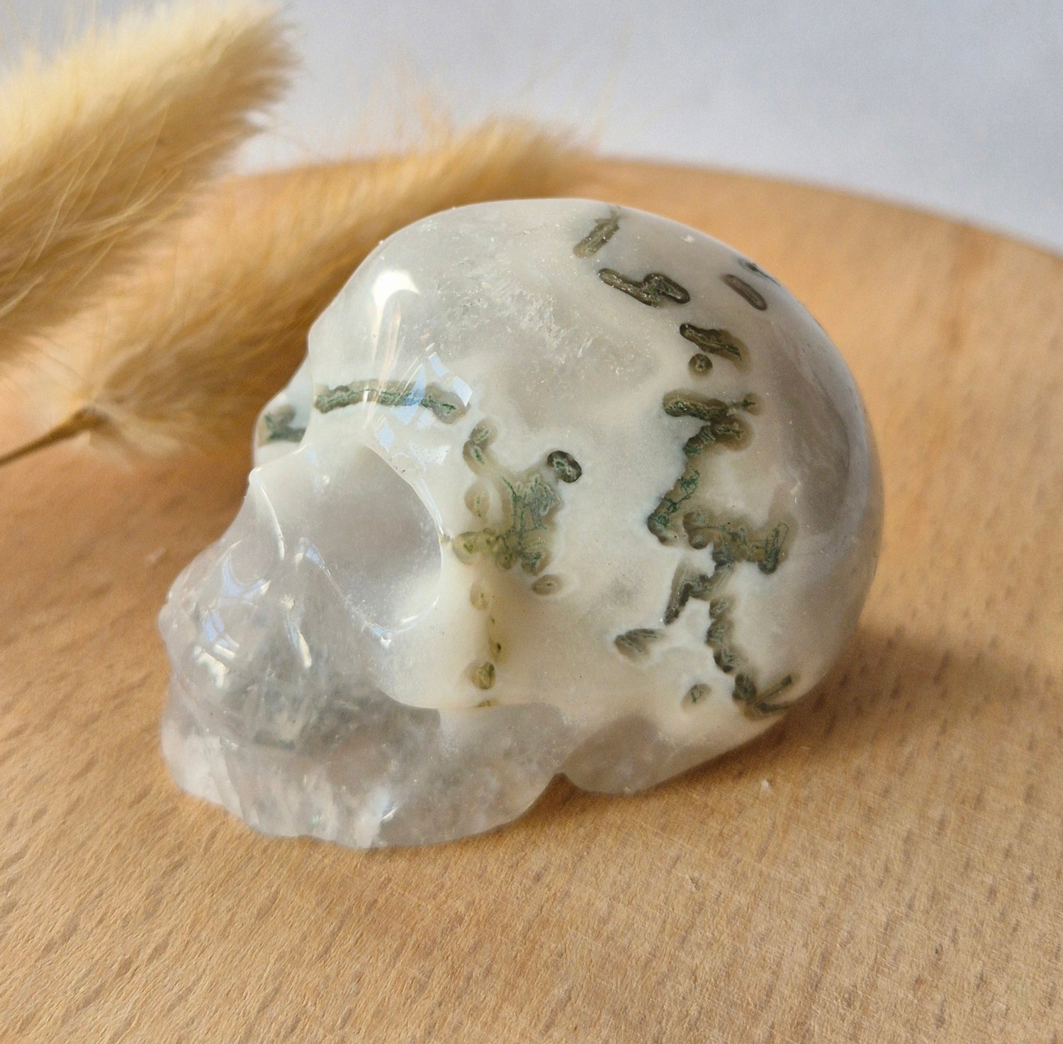 Moonlight Gemstones Mosagaat Skull Carving #2 | 5–6 cm Geslepen Edelsteen Meerkleurig