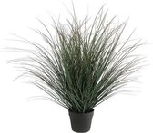 Plant in pot - XL - Glanshaver - 83cm - Groen - Kunststof