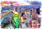 Fat Joe Puzzel 1000 stukjes Parakeets in New York - Parkieten - Puzzle 1000 pieces